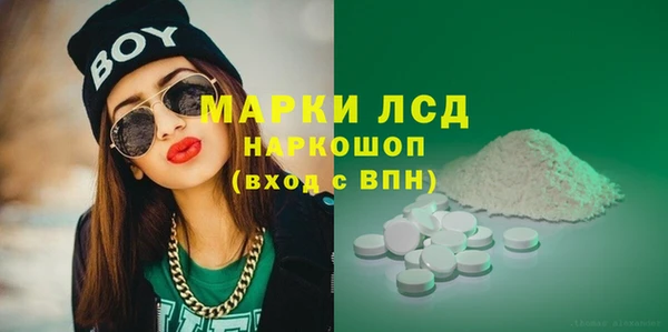 гашик Новокубанск